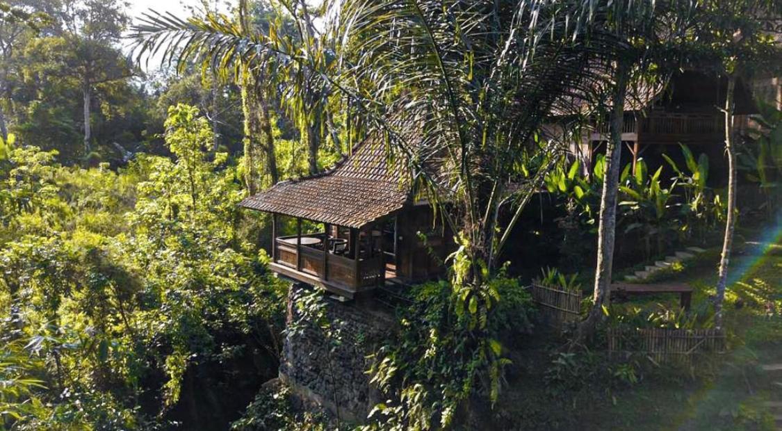 The Jungle Villa Ubud